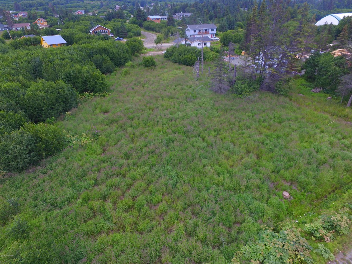3658 Forest Glen Dr, Homer, AK 99603